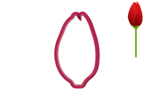 Foremka PĄCZEK TULIPANA