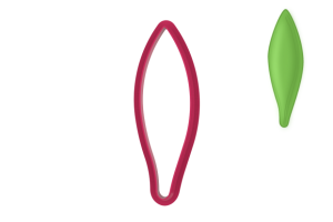 Foremka LIŚĆ TULIPANA