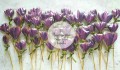 Krokus - Najmniejsza cukiernia świata Agnieszka Czocher.jpg