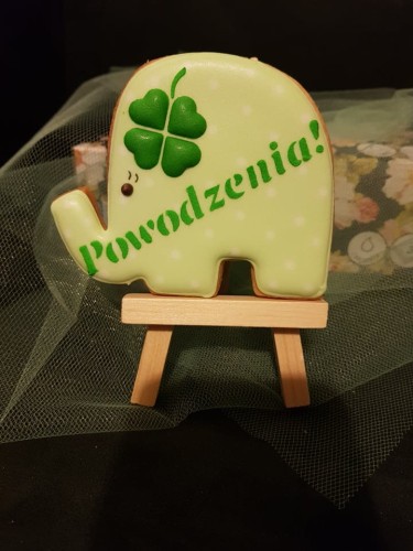 Powodzenia - Danuta Kożuch.jpg