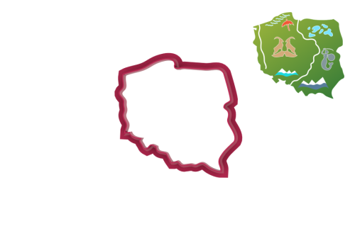 Kontur Polski - inspiracja.png