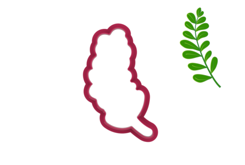 Foremka GAŁĄZKA - inspiracja.png