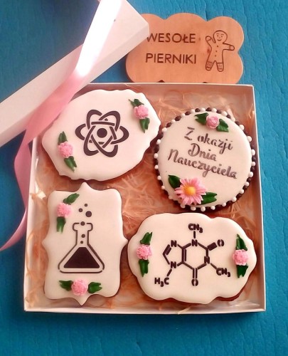 Zestaw dla chemika - Wesołe Pierniki Justyna Wujewska.jpg