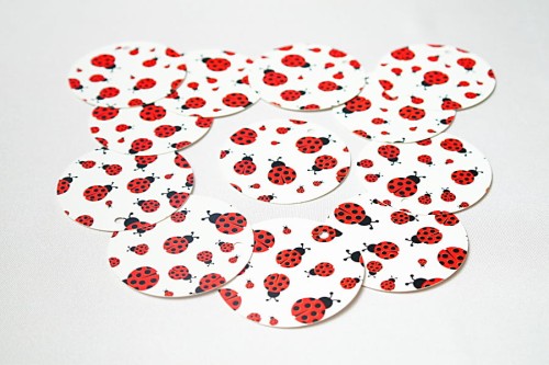 bilet_03 - biedronki.jpg