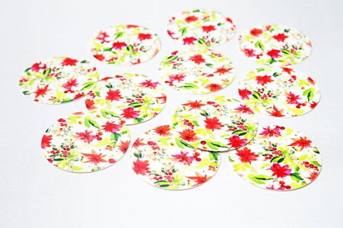 bilet_10 - poinsecje.jpg