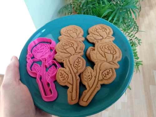 Róża na łodycze i stempel.jpg