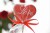 Love I - Pierniczki Basieńki Barbara Piatczyc.jpg