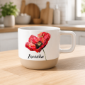 2e74197ec30821d673b5678a55e13ba3 (002).png