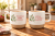 0c05bfc48a547f5384a0b80385a6e177 (002).png