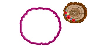 Foremka PLASTER DRZEWA